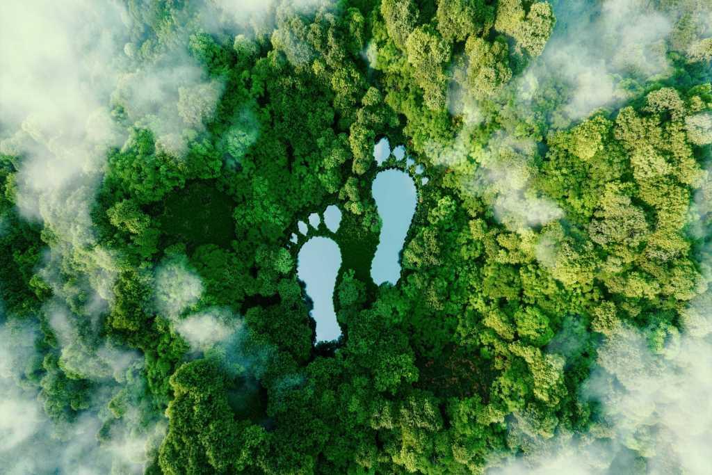 enviromental footprint from burning wood